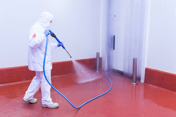 Best Rust Removal  in Mila Doce, TX