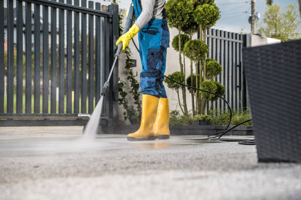 Best Factory Floor Cleaning  in Mila Doce, TX
